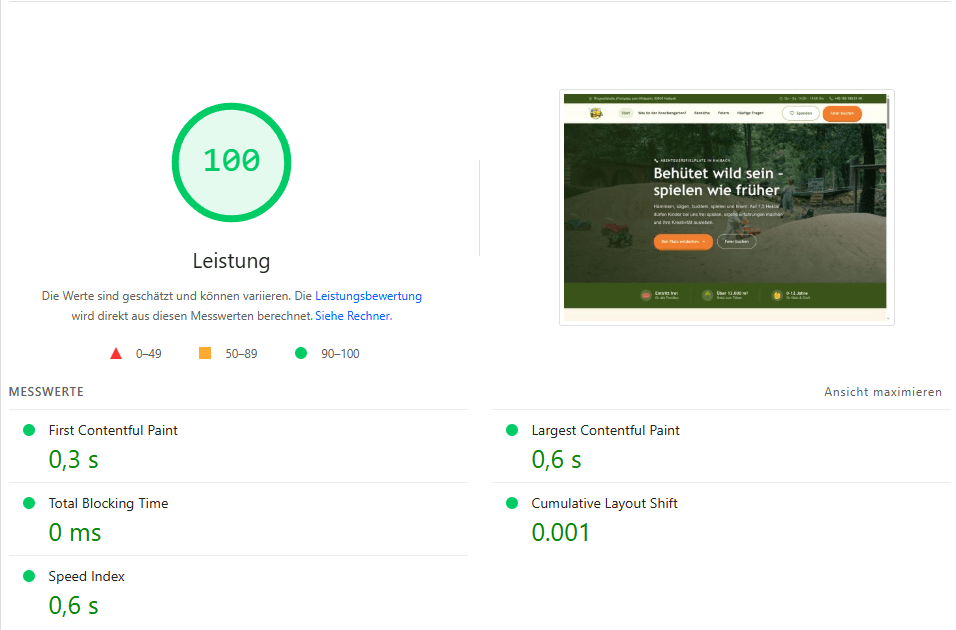 Google PageSpeed Insights Ergebnis einer von uns gebauten Website mit Spitzenwerten in Leistung, Barrierefreiheit, Best Practices und SEO